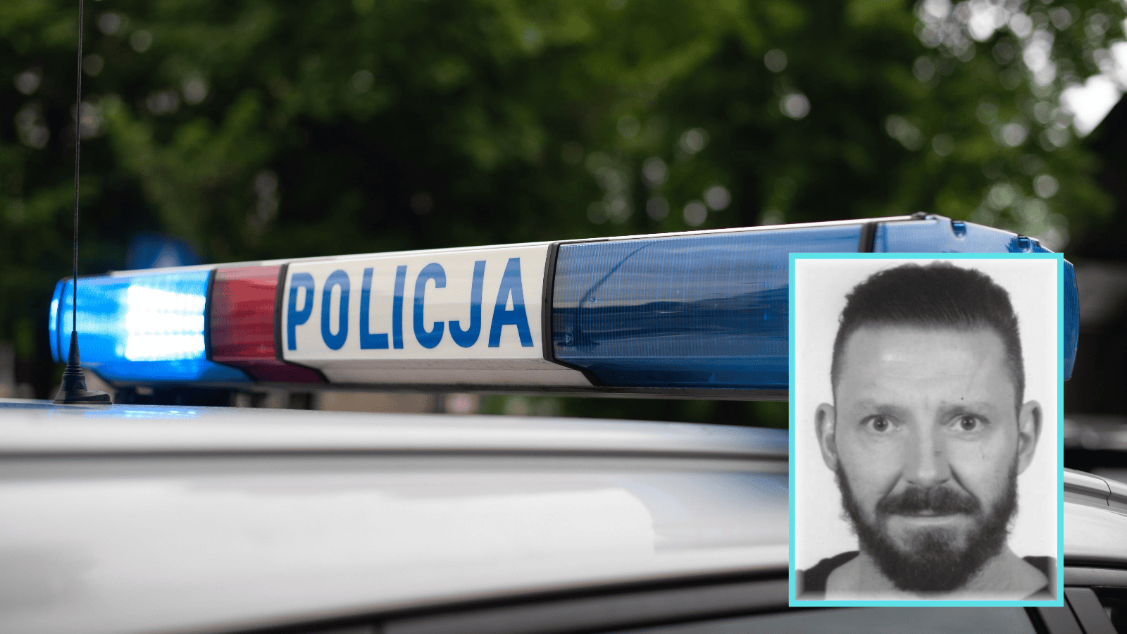 poszukiwany, policja, adwokat