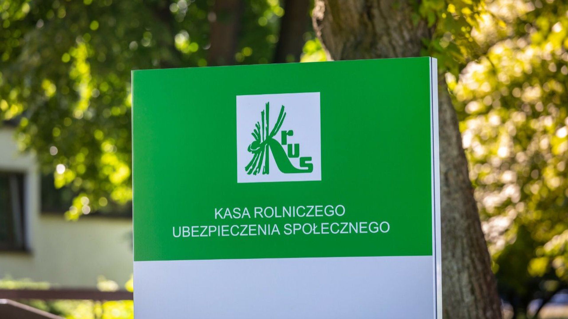 krus 1.jpg