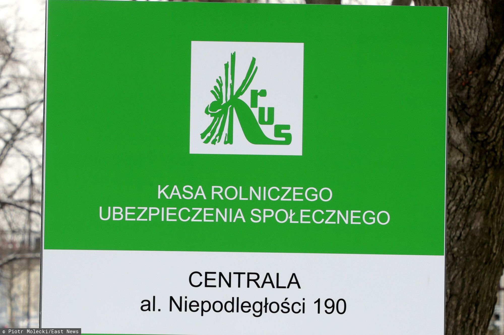krus tablice.jpg