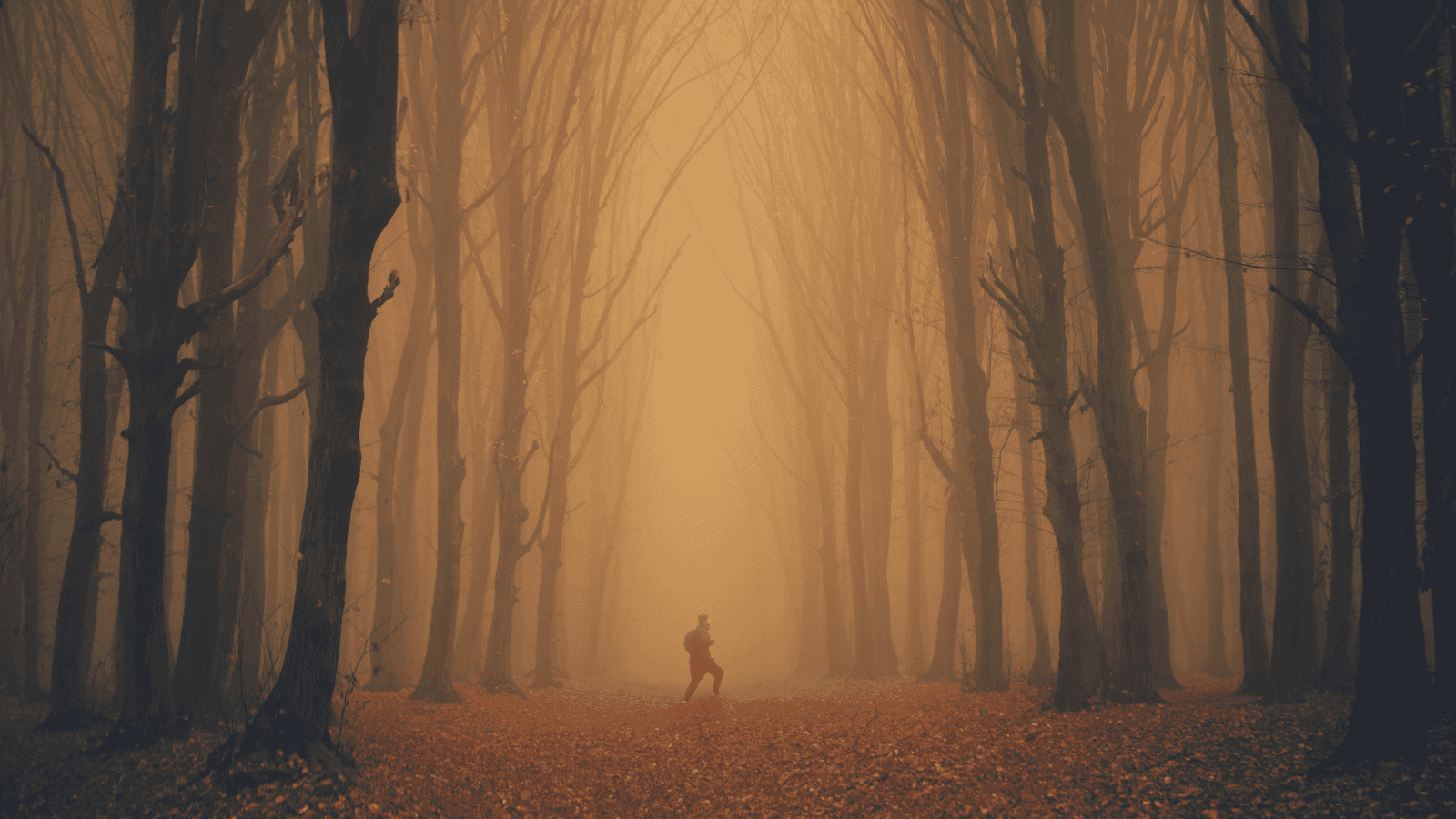 Zaginięcie ks. Marka Wodawskiego. Służby odnalazły samochód duchownego