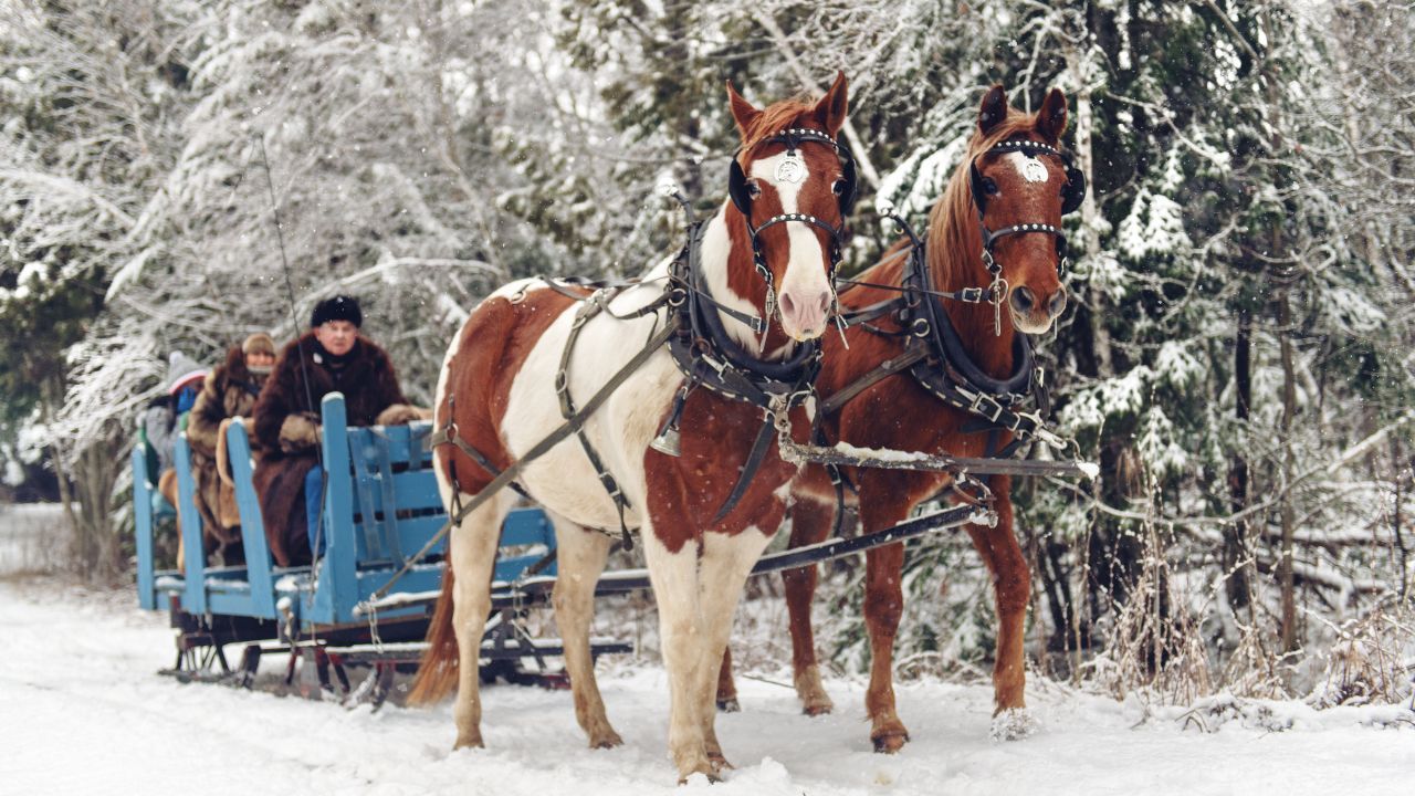 Surowe kary za zabawy na śniegu. Za to policjant nie da pouczenia, od razu wlepi mandat