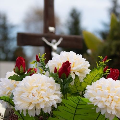 Zapomnij o sztucznych kwiatach na cmentarzu. Te rośliny zachwycają nawet zimą