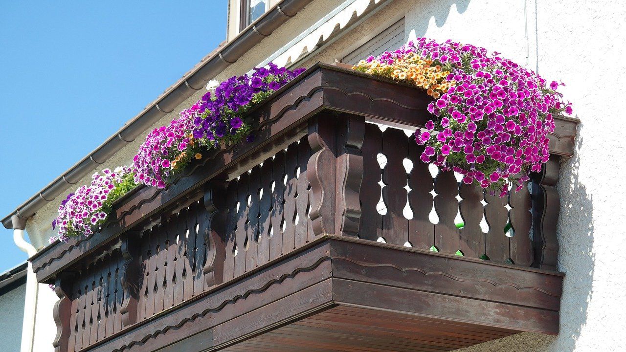 kwiaty na balkonie