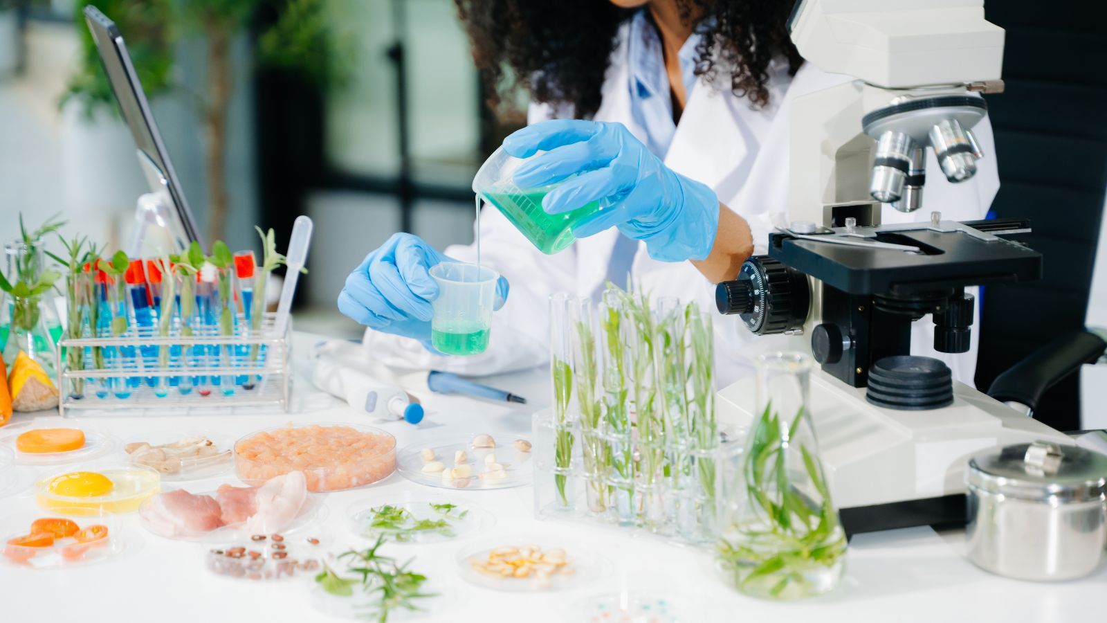 Uwielbiany sklep wycofuje partię jajek, wykryto niebezpieczne patogeny. Lepiej sprawdź w lodówce