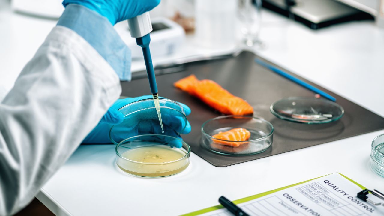 laboratorium.jpg