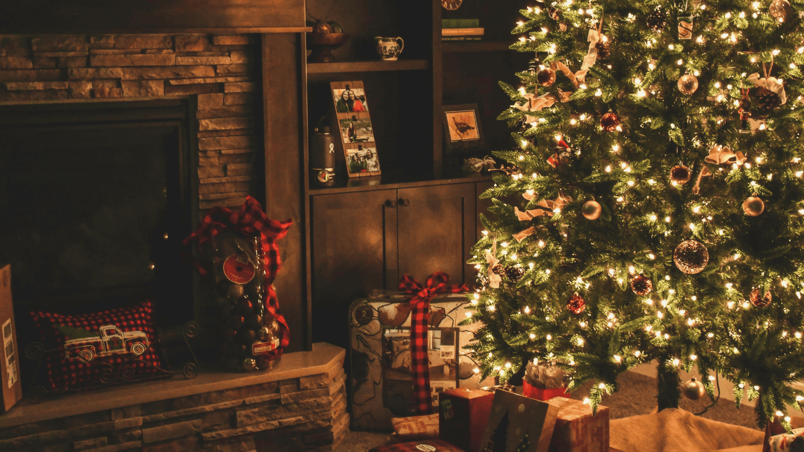 Odbiór odpadów BIO zaostrza zasady. Kto zapłaci za choinkowe wpadki?