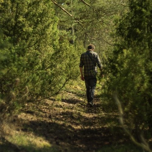 Polacy depczą go podczas spacerów. We Francji ten grzyb uchodzi za przysmak