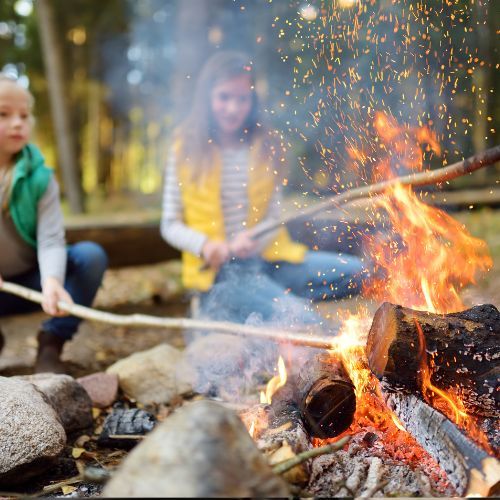 Czy lasy będą zamknięte na długi weekend? Jest komunikat od Lasów Państwowych