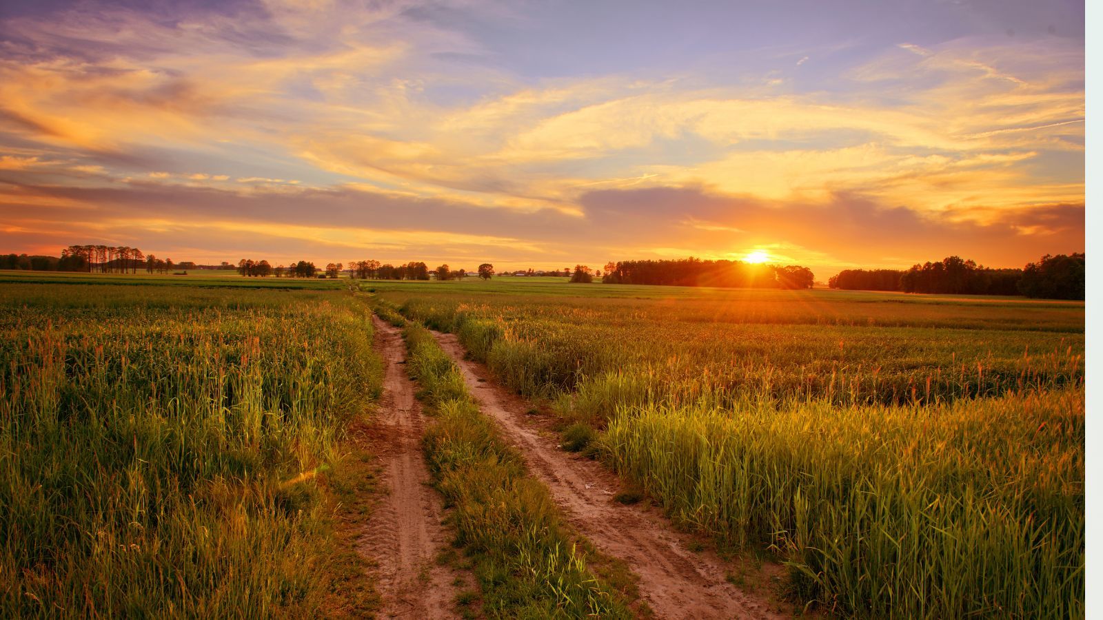 IMGW podał prognozy pogody na wakacje. Zaklepałeś już urlop? Jeszcze możesz zmienić plany