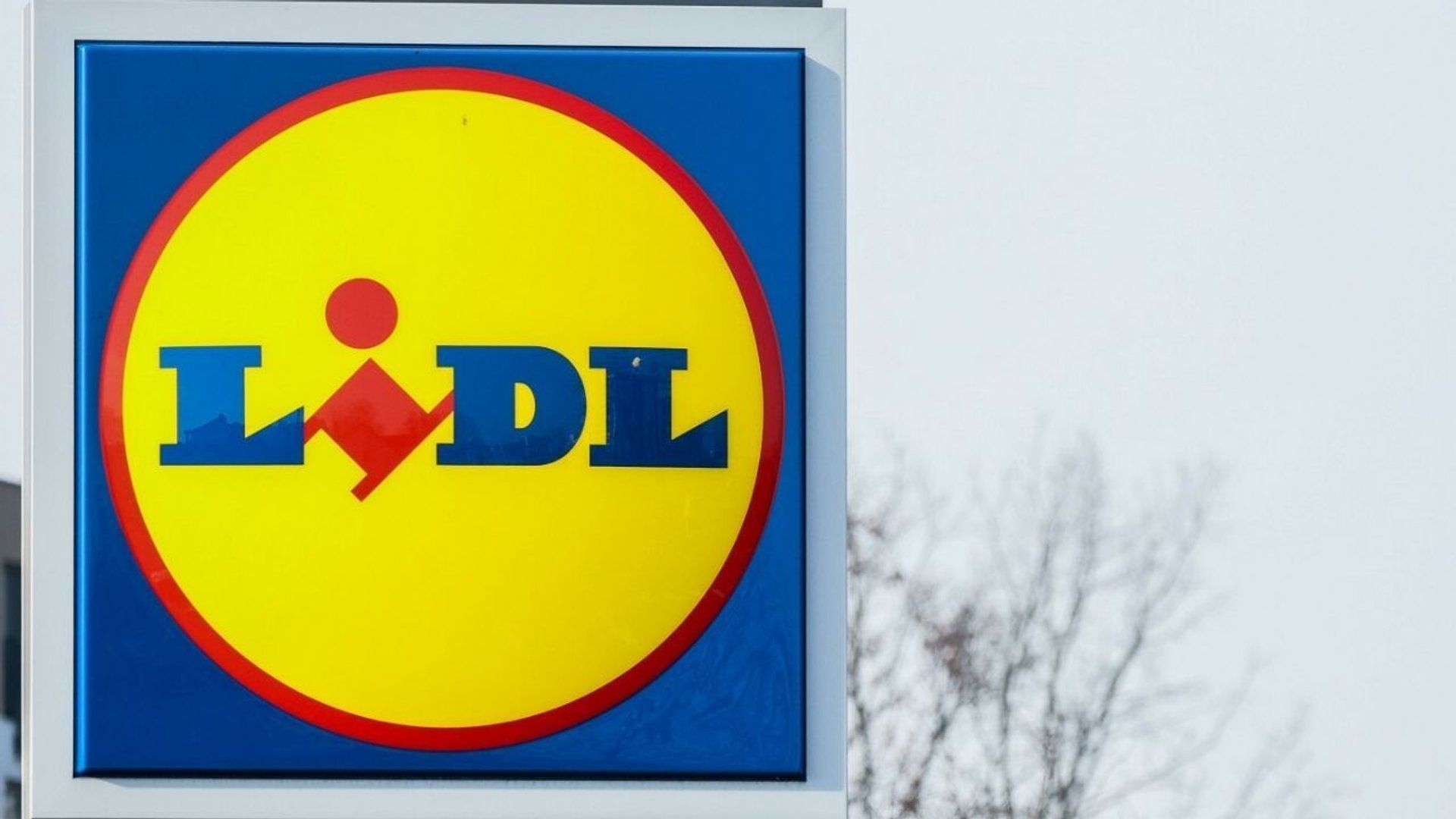 lidl.jpg