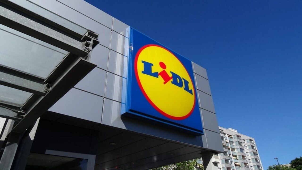 lidl, zarobki