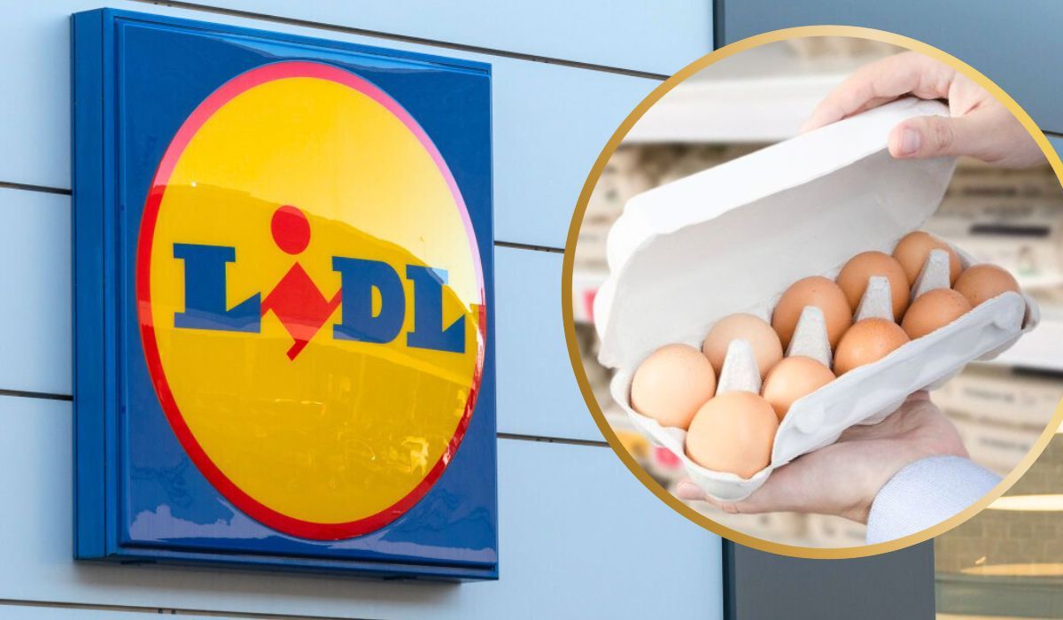 Logo sklepu Lidl i jajka