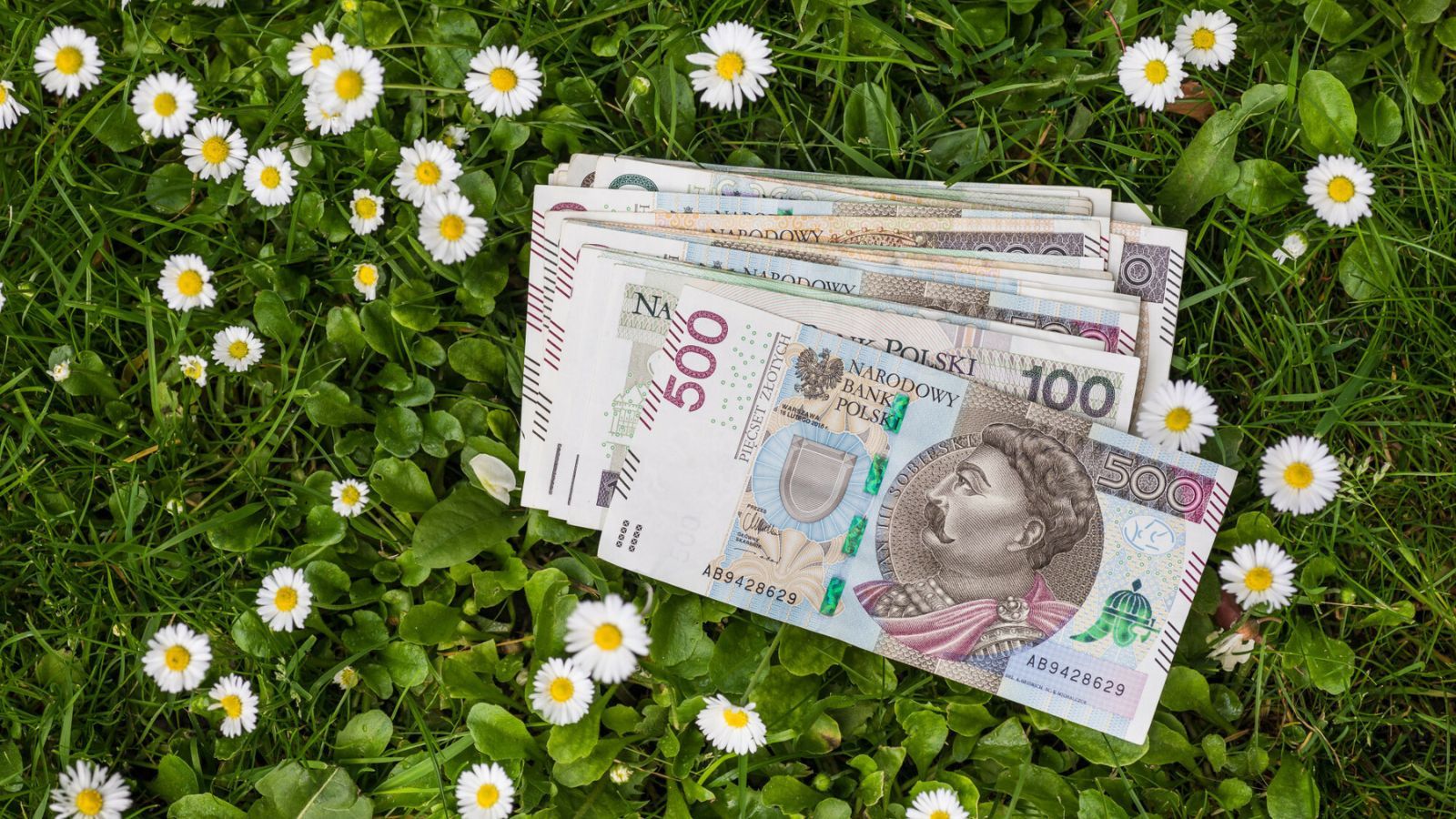 Michał Troszkiewicz