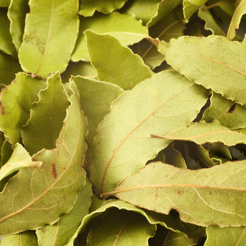liście laurowe