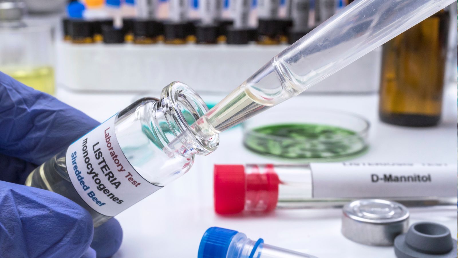 Pilne ostrzeżenie GIS. Groźna bakteria w popularnym produkcie, pod żadnym pozorem tego nie jedz