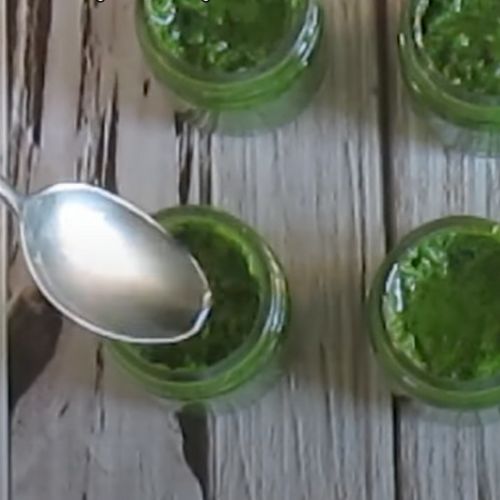 Pakuję lubczyk do słoików i robię najlepszą pastę. Bez żadnych konserwantów