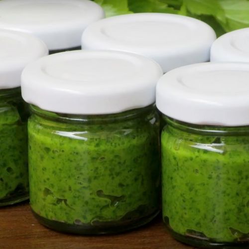 Pakuję lubczyk do słoików i robię najlepszą pastę. Bez żadnych konserwantów