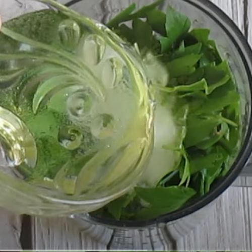 Pakuję lubczyk do słoików i robię najlepszą pastę. Bez żadnych konserwantów