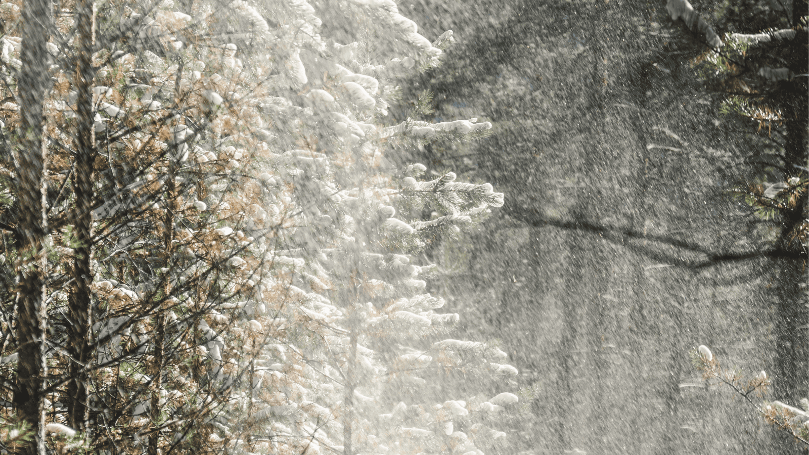 Śmierć turysty w sylwestrową noc. Tragedia w Beskidach