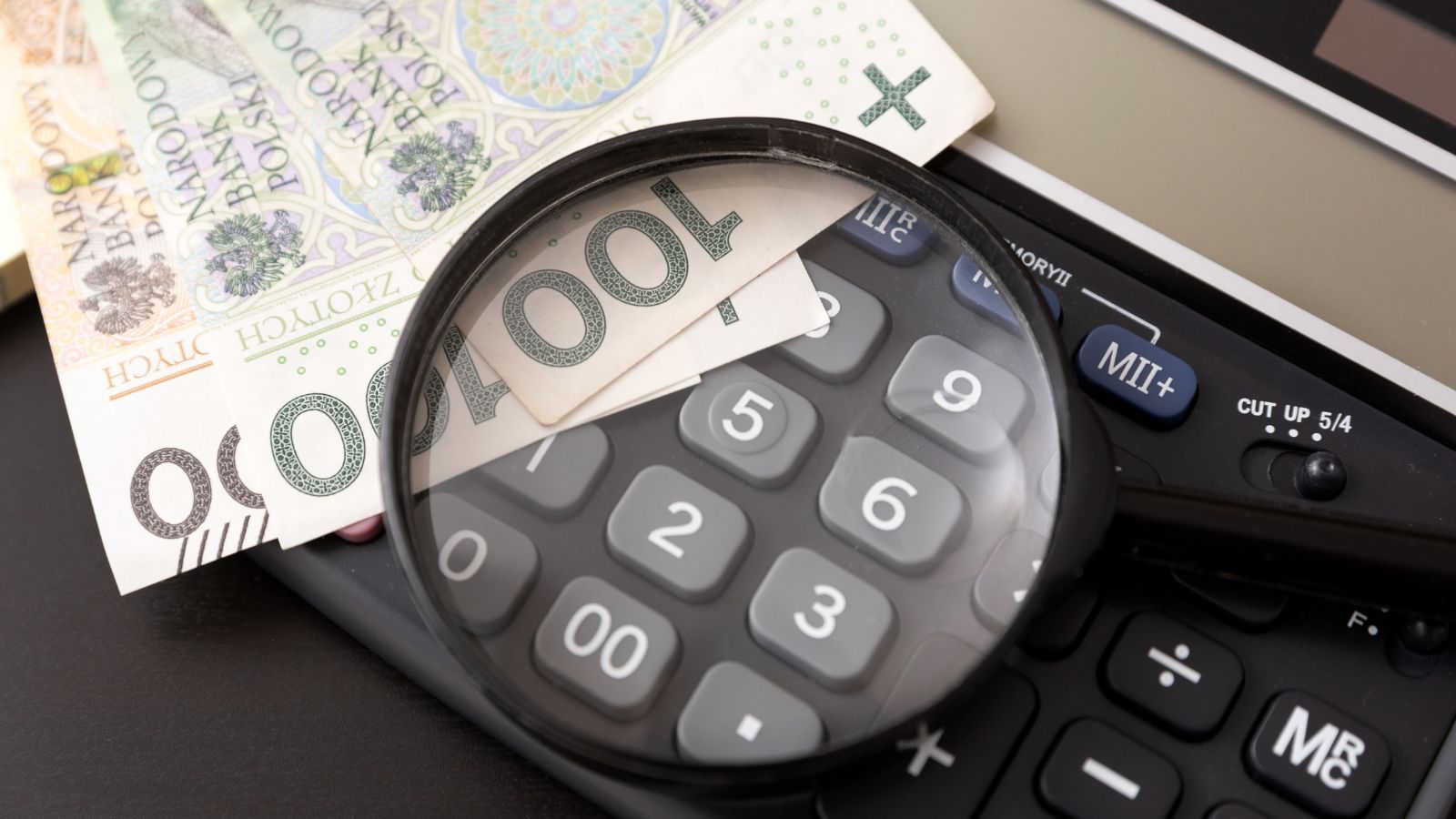 Poszukują Polaków do pracy za granicą. Nawet 14 tys. zł za miesiąc bez wykształcenia