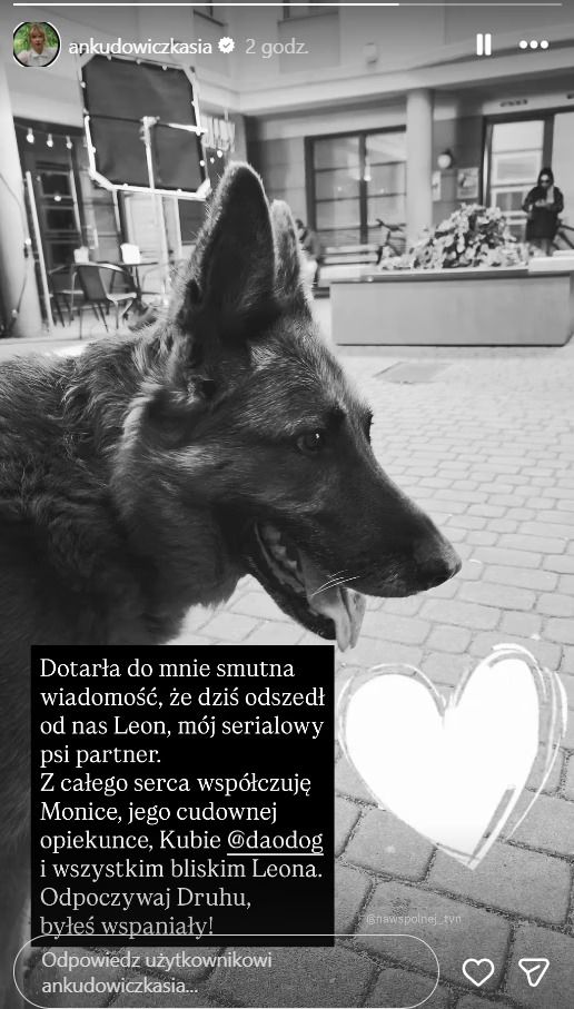 "Odszedł od nas Leon". "Na Wspólnej" w żałobie. Smutne wieści przekazała Kasia Ankudowicz