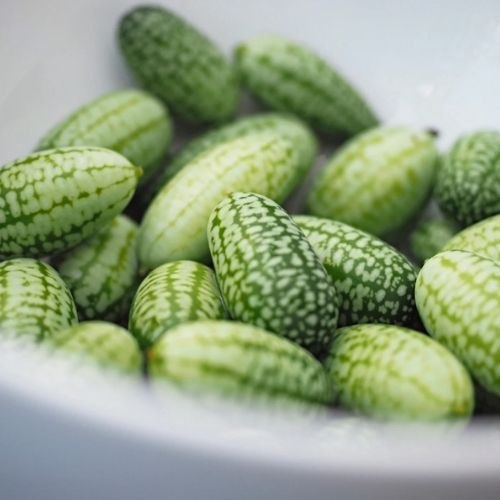 Mysi melon. Pyszna alternatywa dla surówki obiadowej