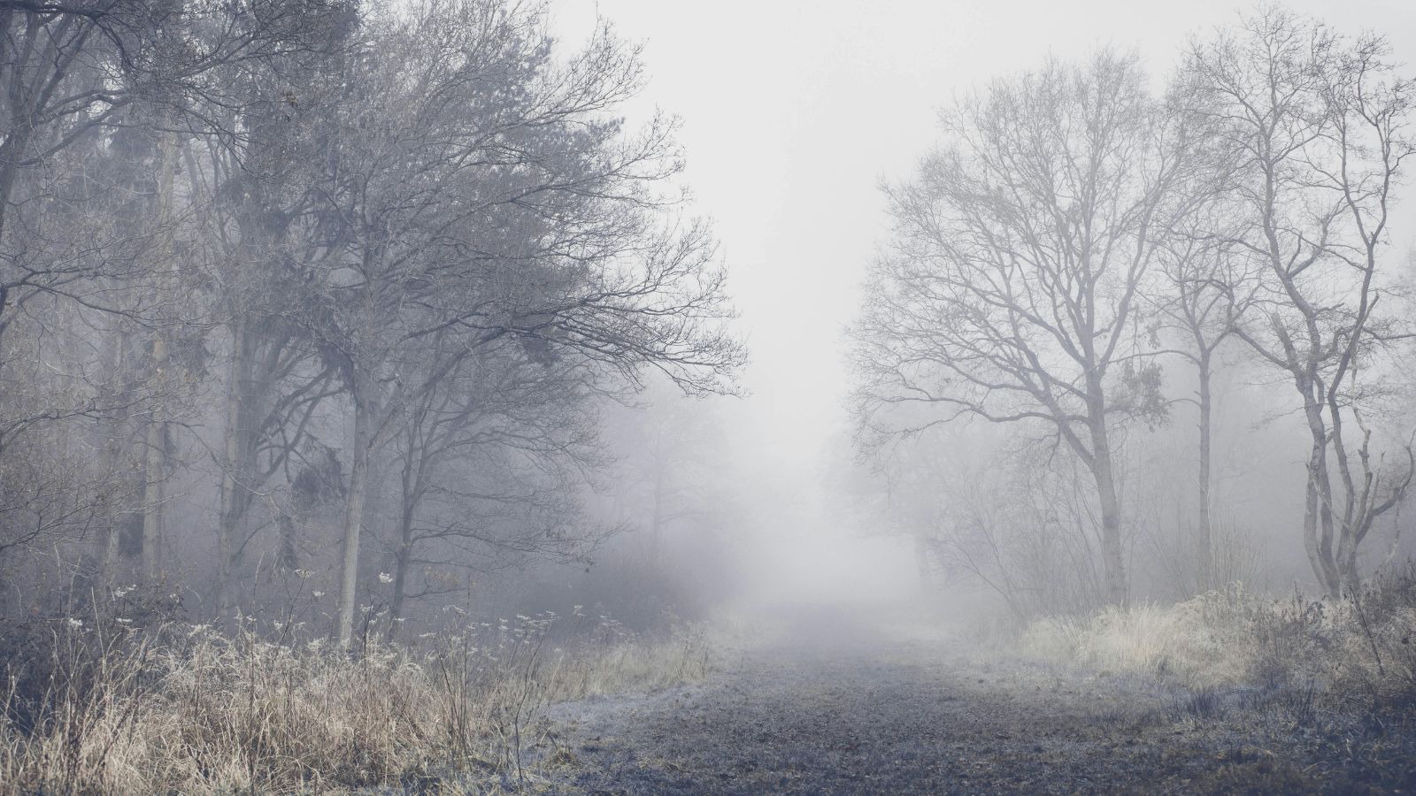 Antycyklon nadciąga do Polski. Prognozy wskazują wyraźnie, takiego grudnia nie było od dawna