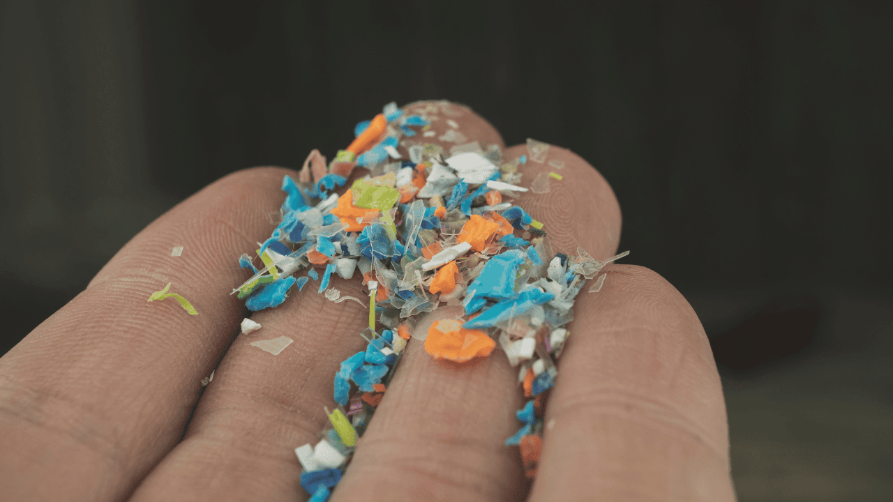 Mikroplastik wydziela się nawet, gdy tylko, np. kroimy na plastikowej desce.