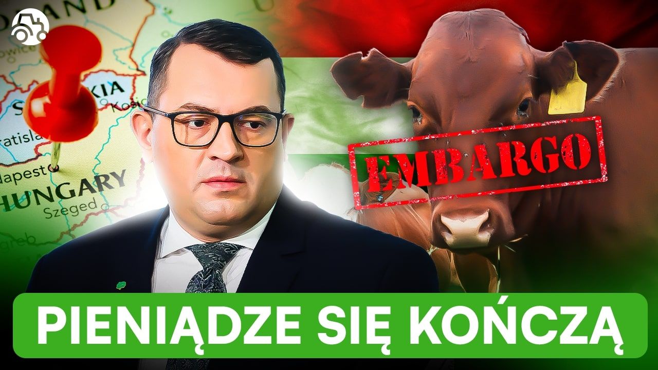Stefan Krajewski