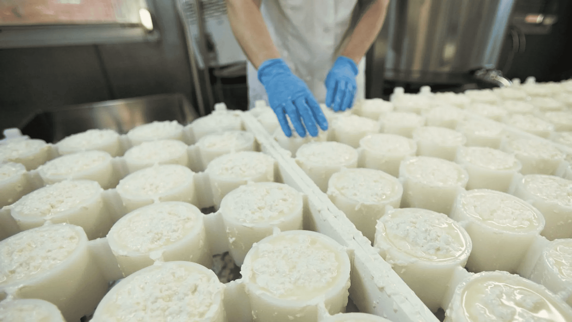 Polski gigant z branży mleczarskiej zbankrutował. To koniec 90-letniej spółdzielni