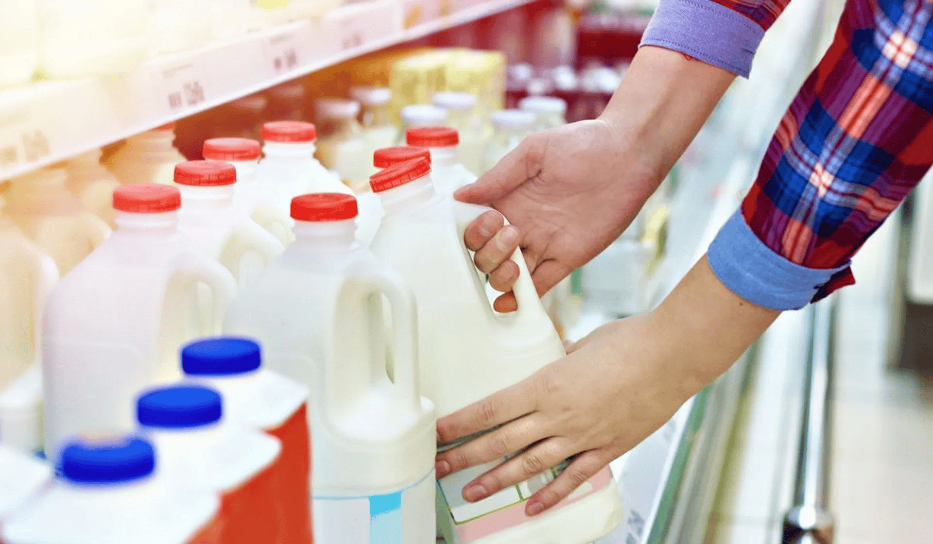 Polski gigant z branży mleczarskiej zbankrutował. To koniec 90-letniej spółdzielni