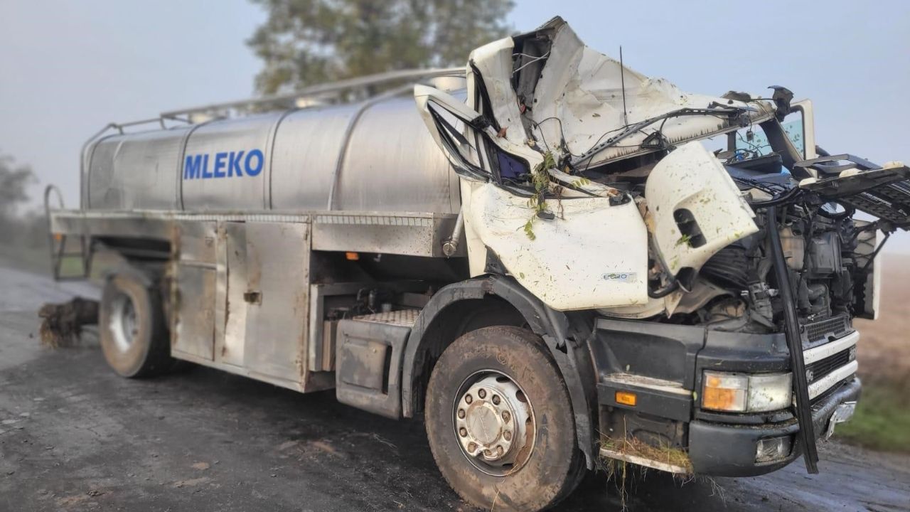 Ciężarówka przewożąca mleko uderzyła w drzewo. Chwilę wcześniej na drogę wybiegła sarna