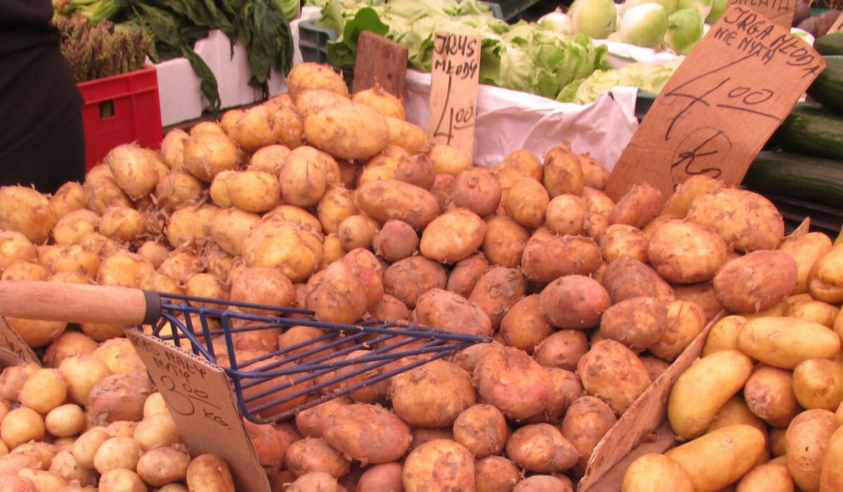 Na targach są już pierwsze młode ziemniaki? „Ktoś albo prowokuje, albo się w ogóle nie zna”
