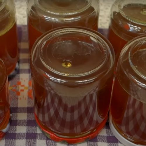 Babcia Ewa ma najlepszy przepis na miód z mniszka. Robię go co roku o tej porze