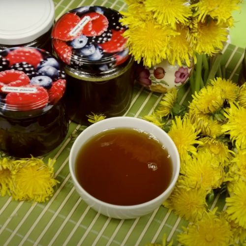 Babcia Ewa ma najlepszy przepis na miód z mniszka. Robię go co roku o tej porze