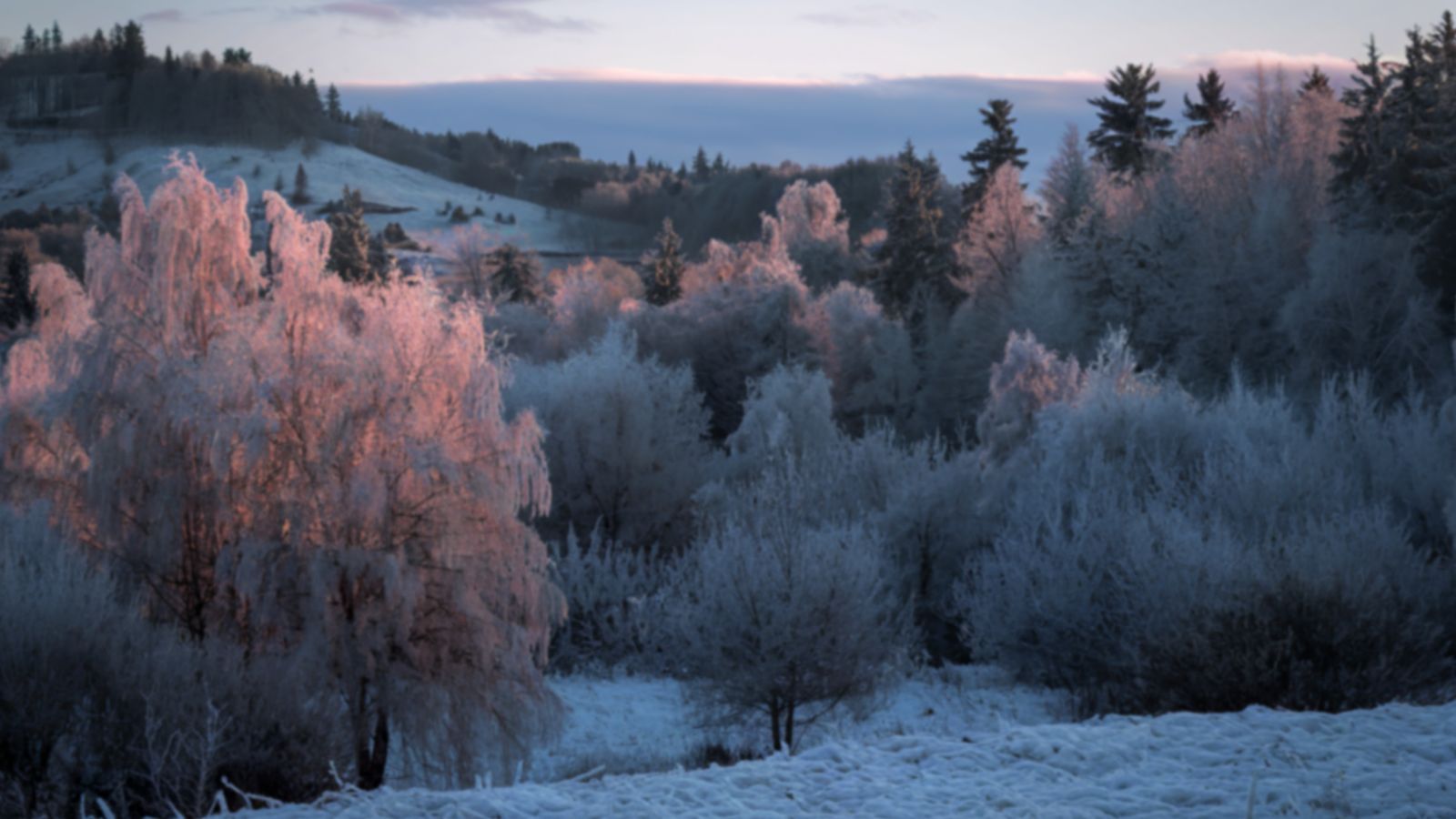 Apogeum zimna nadciąga do Polski. Takich temperatur na minusie nie było dawno