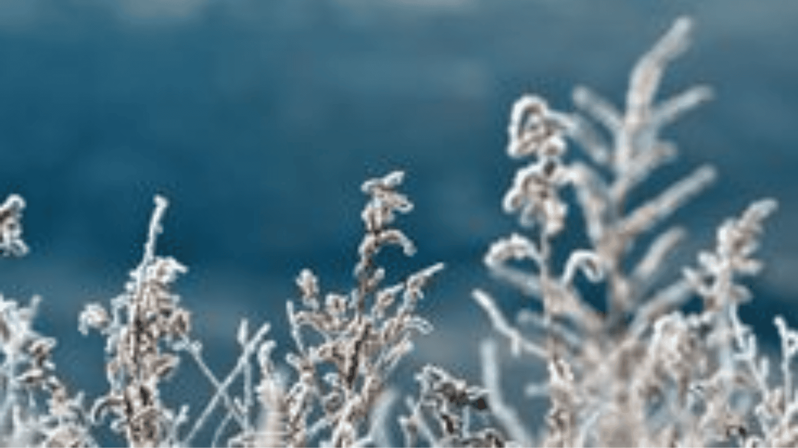 Silne ochłodzenie nad Polską. IMGW zapowiada bardzo niskie temperatury