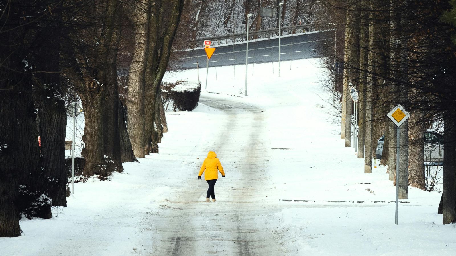 Michał  Troszkiewicz