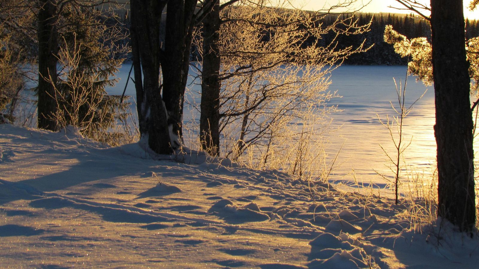 IMGW przekazało prognozy. Nadciąga fala ciepła, w tym rejonie Polski nawet 10 st. C na plusie