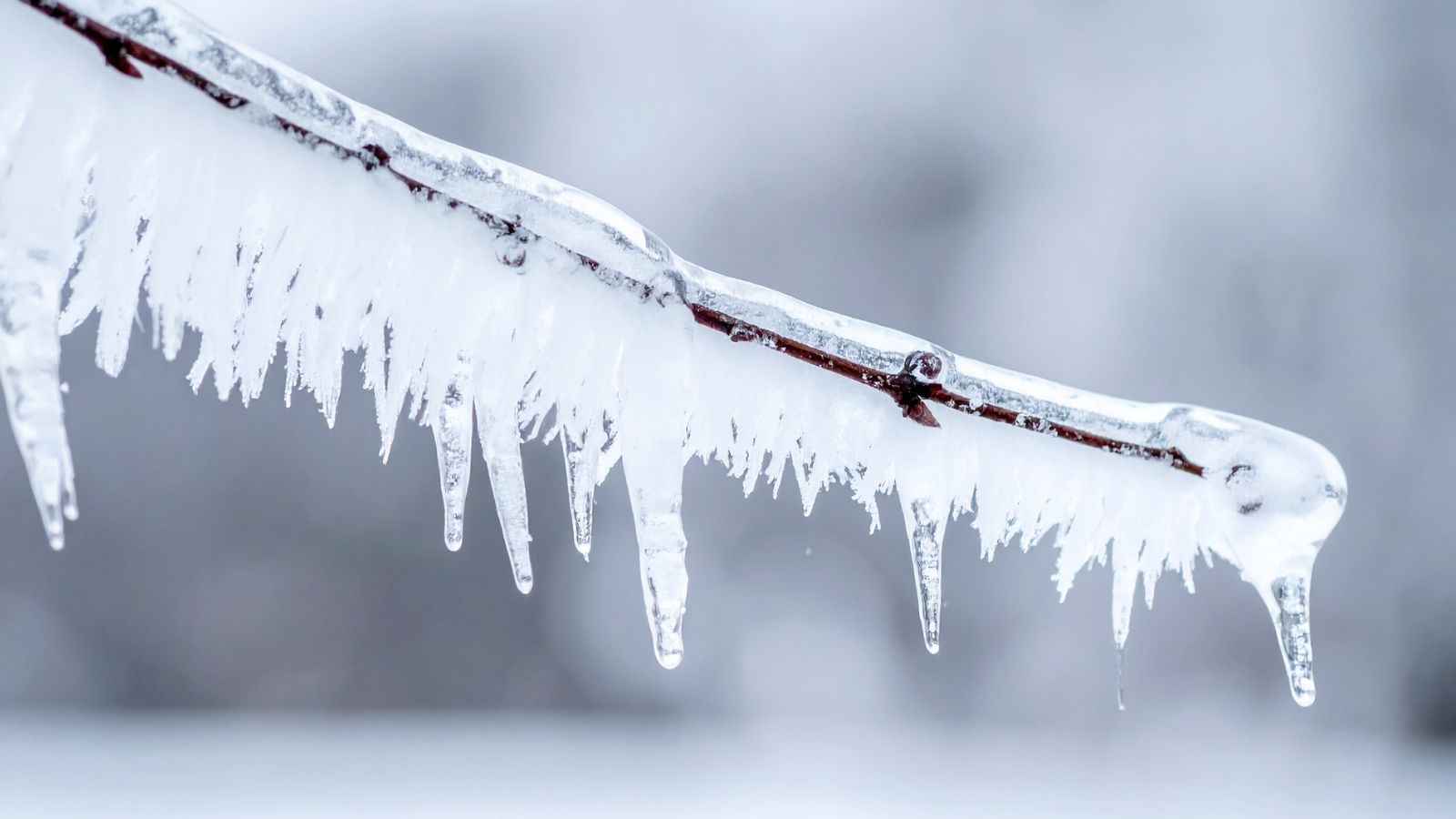 Są już prognozy na tegoroczne lato. Polacy będą zaskoczeni, to pierwszy raz od 1850 roku