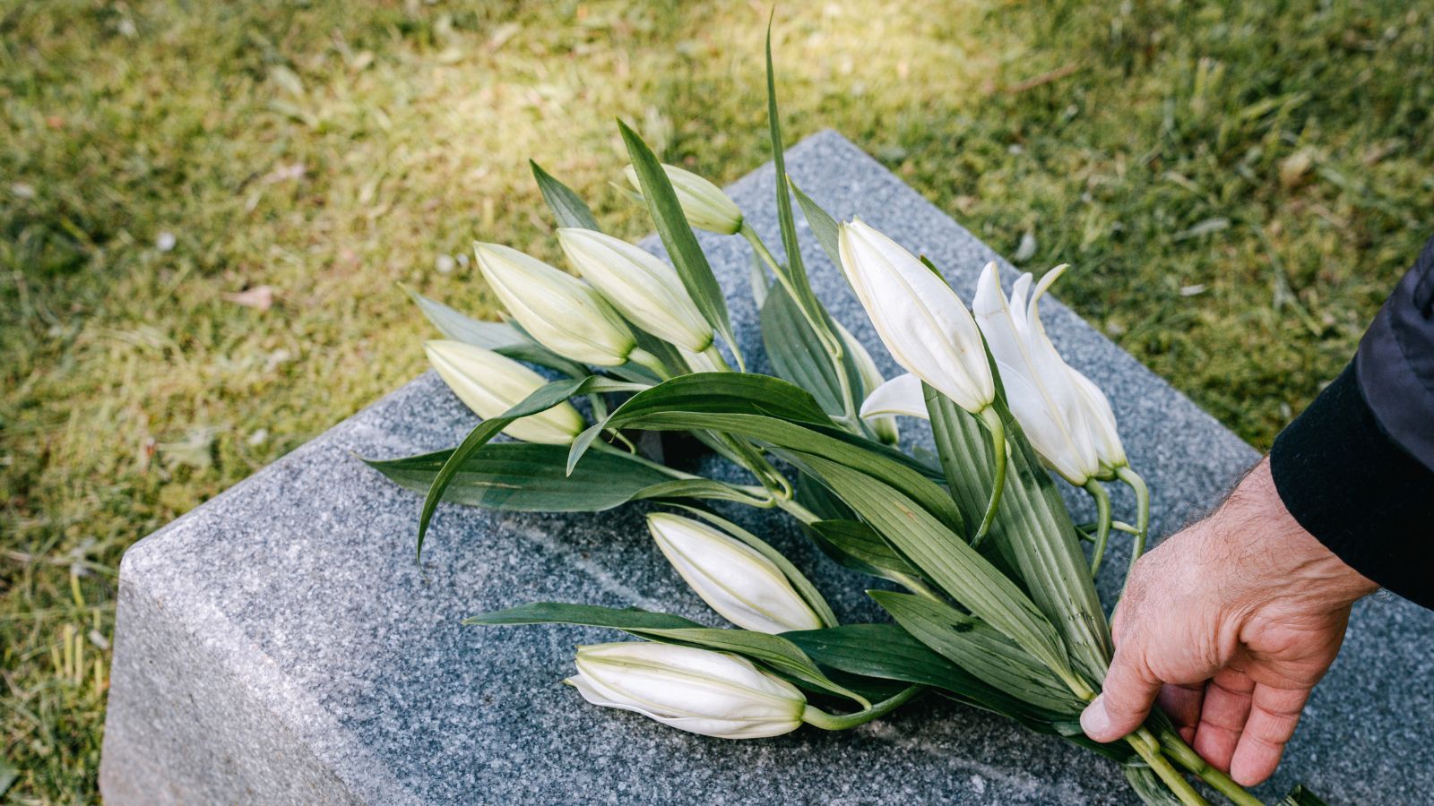 Nowe regulacje dotyczące pogrzebów wchodzą w życie. Polacy długo się o to upominali