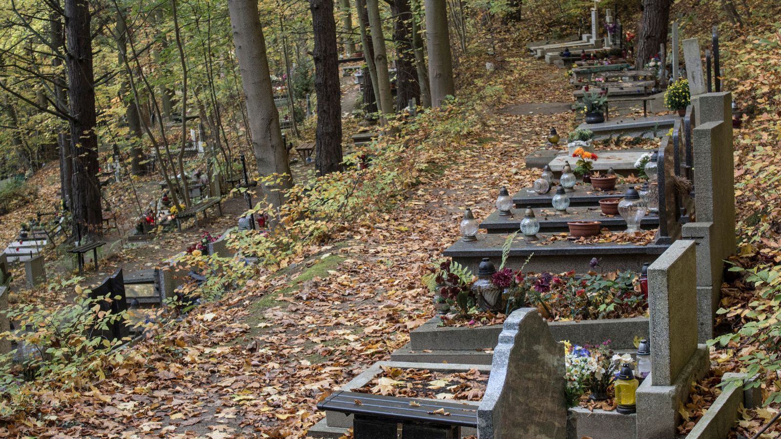 Rewolucja na cmentarzach. Nadchodzą zmiany w pochówku zmarłych. Kościół już ostro protestuje