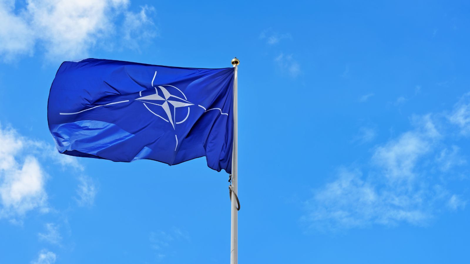 Kosiniak-Kamysz przejmuje pomysł Nawrockiego. Nowy projekt od PSL. "Tych pieniędzy nie odpuszczę"