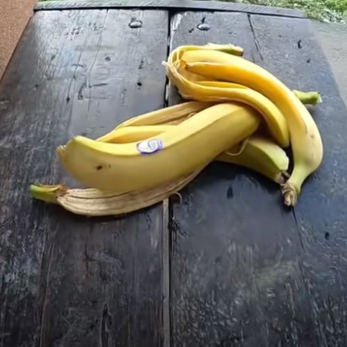 nawóz z skórki banana