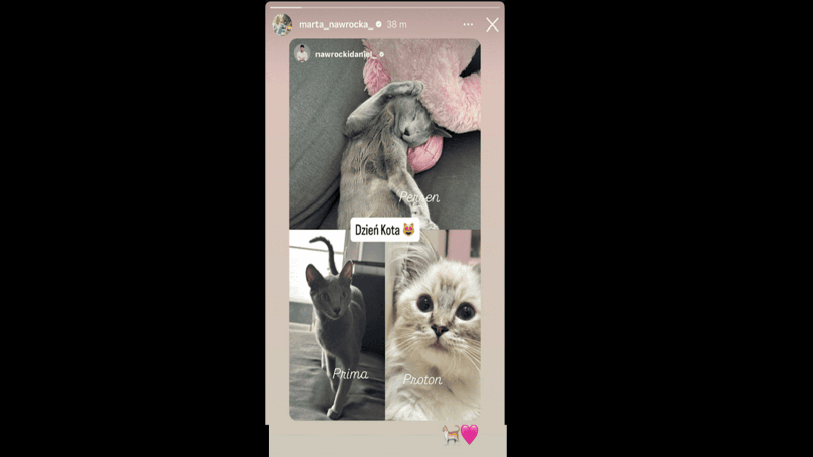 Przybrany syn Nawrockiego pokazał członków rodziny. Mało kto miał pojęcie