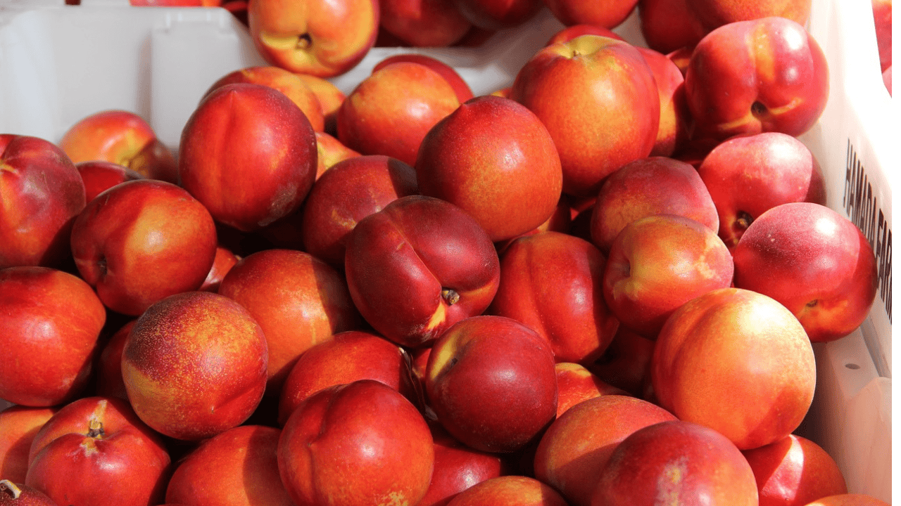 Ten niepozorny owoc potrafi zdziałać cuda. Poprawia koncentrację i pozwala schudnąć