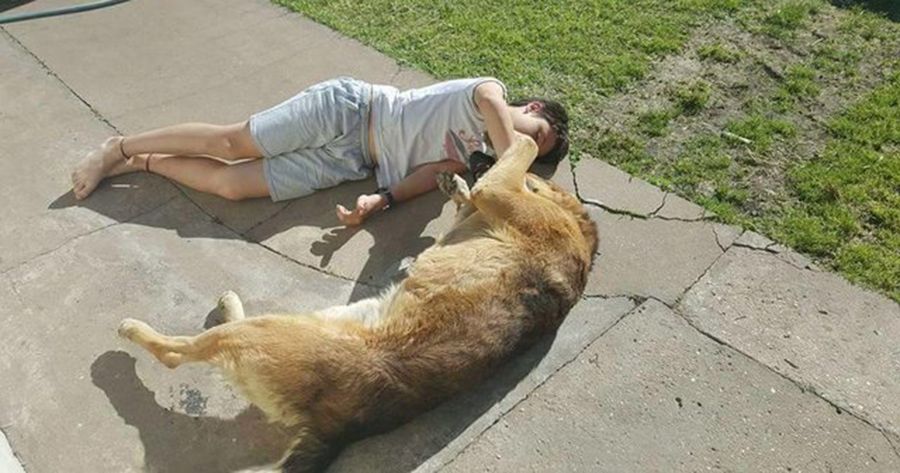niño-con-su-perro-tumbado-en-el-suelo.jpg