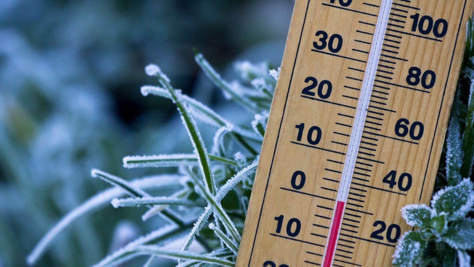 Nie tylko przeziębienie i grypa. Te choroby wracają, gdy temperatura spada