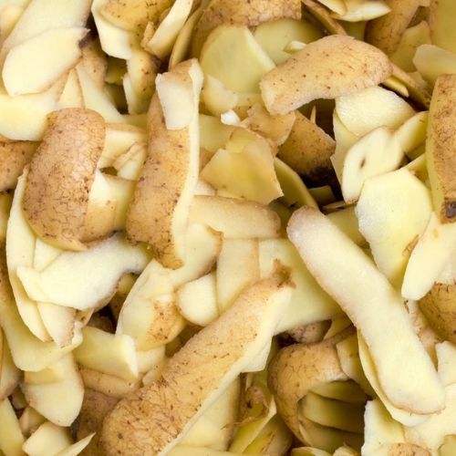 Wzmocnij maliny przed zimą. W przyszłym roku owoców będzie mnóstwo