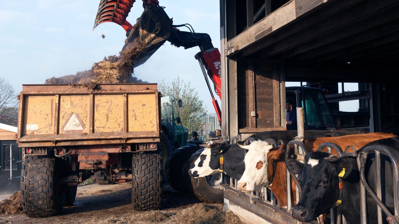 obornik